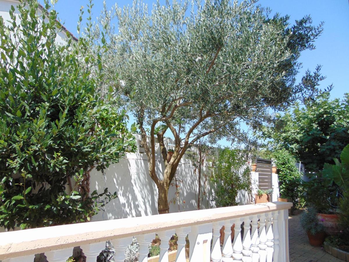 Apartments Petra Biograd Na Moru Exterior photo