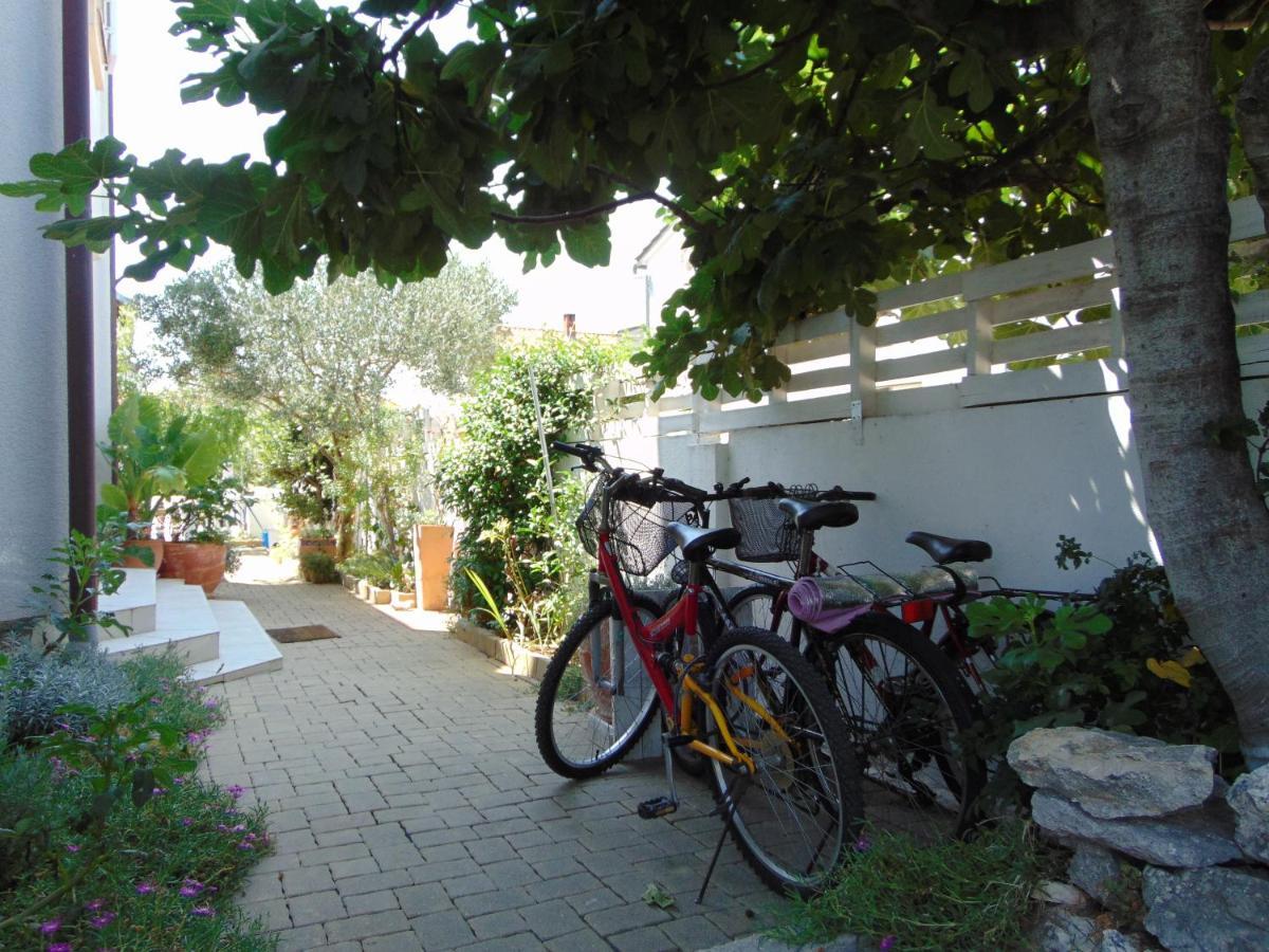 Apartments Petra Biograd Na Moru Exterior photo
